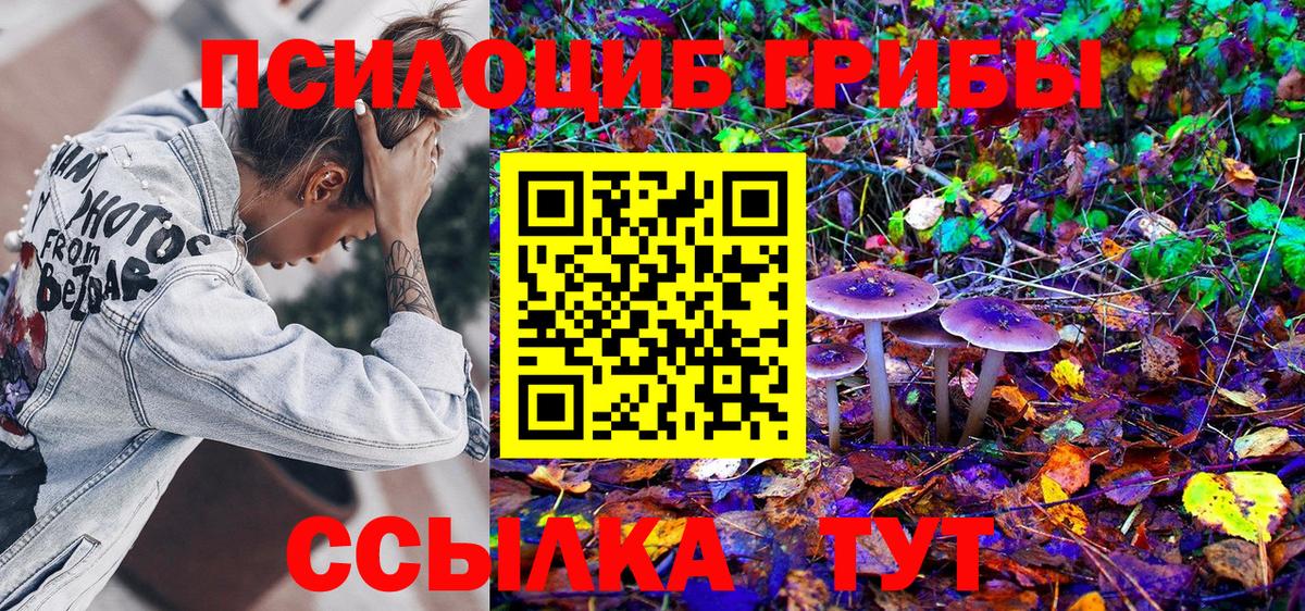 Псилоцибиновые грибы ЛСД  Галлюциногенные грибы мицелий  Вход с VPN  Энгельс 